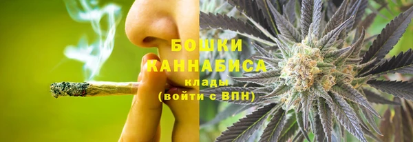 PSILOCYBIN Волосово