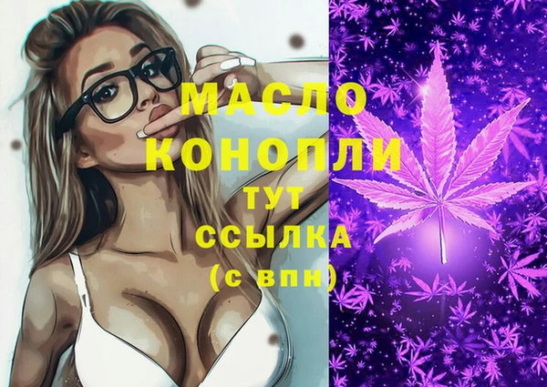 гашик Вязьма
