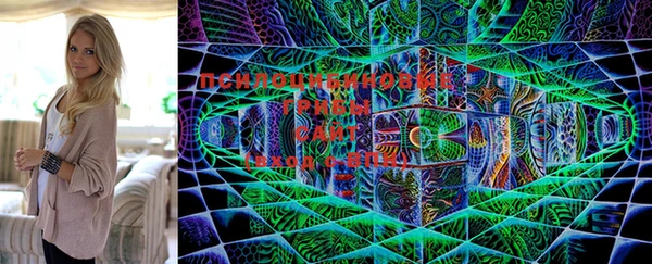 дмт Горняк