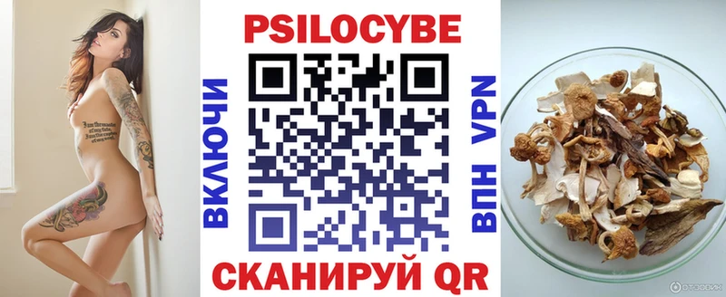 где купить наркоту  гидра ССЫЛКА  Галлюциногенные грибы GOLDEN TEACHER  Дятьково 